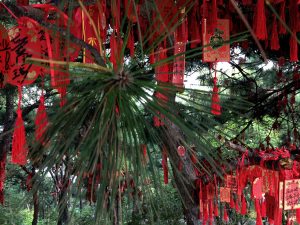 Lucky charms hanging from trees all over the place at Xiang Shan (Incense Burner Peak)