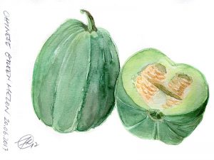 Chinese Green Melon