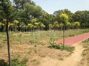 Unvermittelt enden und beginnen die Radwege des Greenway am Wenyu