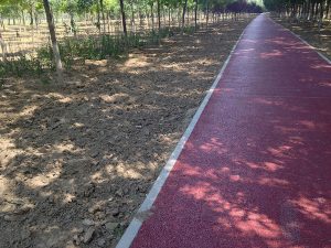 Beijing Greenway am Wenyu-Fluss: brandneue rote Radwege aus Tarmac®